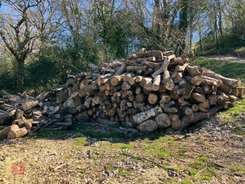 VERY LARGE QTY OF FIREWOOD