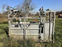 BATEMAN GALVANISED CATTLE CRUSH - 2