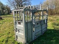 BATEMAN GALVANISED CATTLE CRUSH - 7