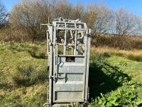 BATEMAN GALVANISED CATTLE CRUSH - 8