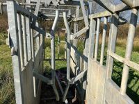 BATEMAN GALVANISED CATTLE CRUSH - 9