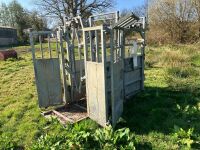 BATEMAN GALVANISED CATTLE CRUSH - 10