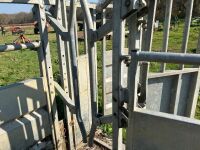 BATEMAN GALVANISED CATTLE CRUSH - 17
