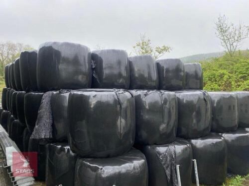 85 ROUND BALES OF WRAPPED 2024 HAYLAGE BIDS PER BALE