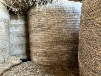 56 BALES OF 2023/24 HAY BIDS PER BALE - 3