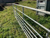 IAE 12' GALVANISED FIELD GATE - 8