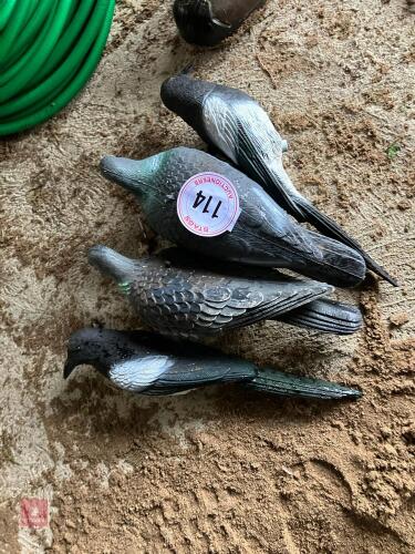 2 DECOY PIGEONS & 2 DECOY MAGPIES