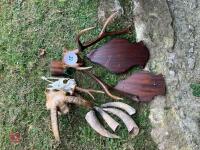 RED DEER HEAD, ROE HEAD & SHEEP HEAD - 7