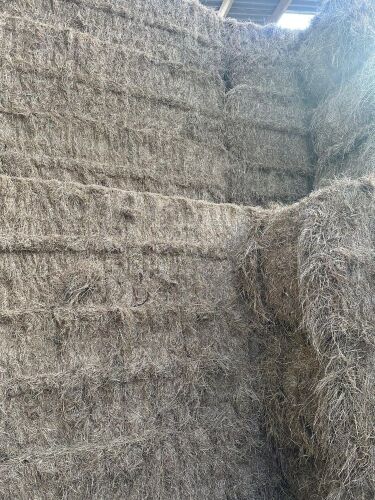 50 4 STRING BALES OF MEADOW HAY BIDS PER BALE