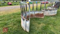CATTLE RING FEEDER - 8