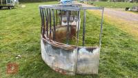 CATTLE RING FEEDER - 3