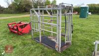 GALVANISED FOOT TRIMMING CRUSH - 4