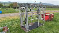GALVANISED FOOT TRIMMING CRUSH - 6