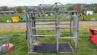 GALVANISED FOOT TRIMMING CRUSH - 7