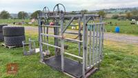 GALVANISED FOOT TRIMMING CRUSH - 8