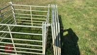 8 X 4' GALVANISED SHEEP HURDLES - 3