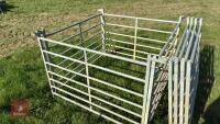 8 X 4' GALVANISED SHEEP HURDLES - 4