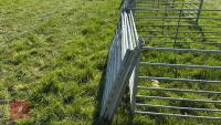 8 X 6' GALVANISED SHEEP HURDLES - 6