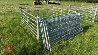 10 X 6' GALVANISED SHEEP HURDLES - 2
