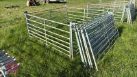 10 X 6' GALVANISED SHEEP HURDLES - 3