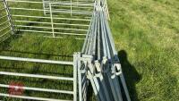 10 X 6' GALVANISED SHEEP HURDLES - 5