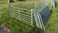 10 X 6' GALVANISED SHEEP HURDLES - 6