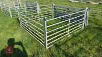 10 X 6' GALVANISED SHEEP HURDLES - 7