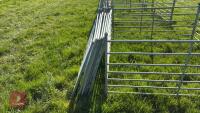 10 X 6' GALVANISED SHEEP HURDLES - 9