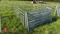 10 X 6' GALVANISED SHEEP HURDLES - 2