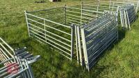 10 X 6' GALVANISED SHEEP HURDLES - 3