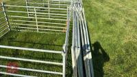 10 X 6' GALVANISED SHEEP HURDLES - 4