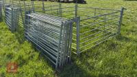 10 X 6' GALVANISED SHEEP HURDLES - 9