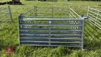 10 X 6' GALVANISED SHEEP HURDLES