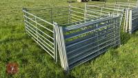 10 X 6' GALVANISED SHEEP HURDLES - 2