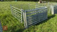 10 X 6' GALVANISED SHEEP HURDLES - 2