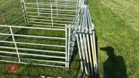 10 X 6' GALVANISED SHEEP HURDLES - 4