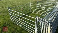 10 X 6' GALVANISED SHEEP HURDLES - 5