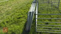 10 X 6' GALVANISED SHEEP HURDLES - 9