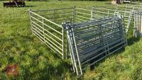 10 X 6' GALVANISED SHEEP HURDLES - 2