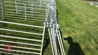 10 X 6' GALVANISED SHEEP HURDLES - 4