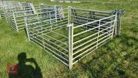 10 X 6' GALVANISED SHEEP HURDLES - 6