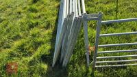 10 X 6' GALVANISED SHEEP HURDLES - 9