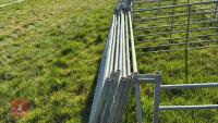 10 X 6' GALVANISED SHEEP HURDLES - 10