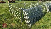 10 X 6' GALVANISED SHEEP HURDLES - 2