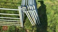 10 X 6' GALVANISED SHEEP HURDLES - 3