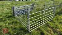 10 X 6' GALVANISED SHEEP HURDLES - 7