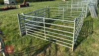 7 X 6' GALVANISED SHEEP HURDLES - 3