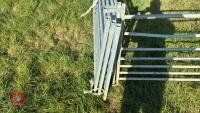 7 X 6' GALVANISED SHEEP HURDLES - 4