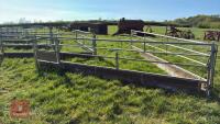 IAE 15' GATED SHEEP FEED BARRIER