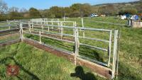 IAE 15' GATED SHEEP FEED BARRIER - 7